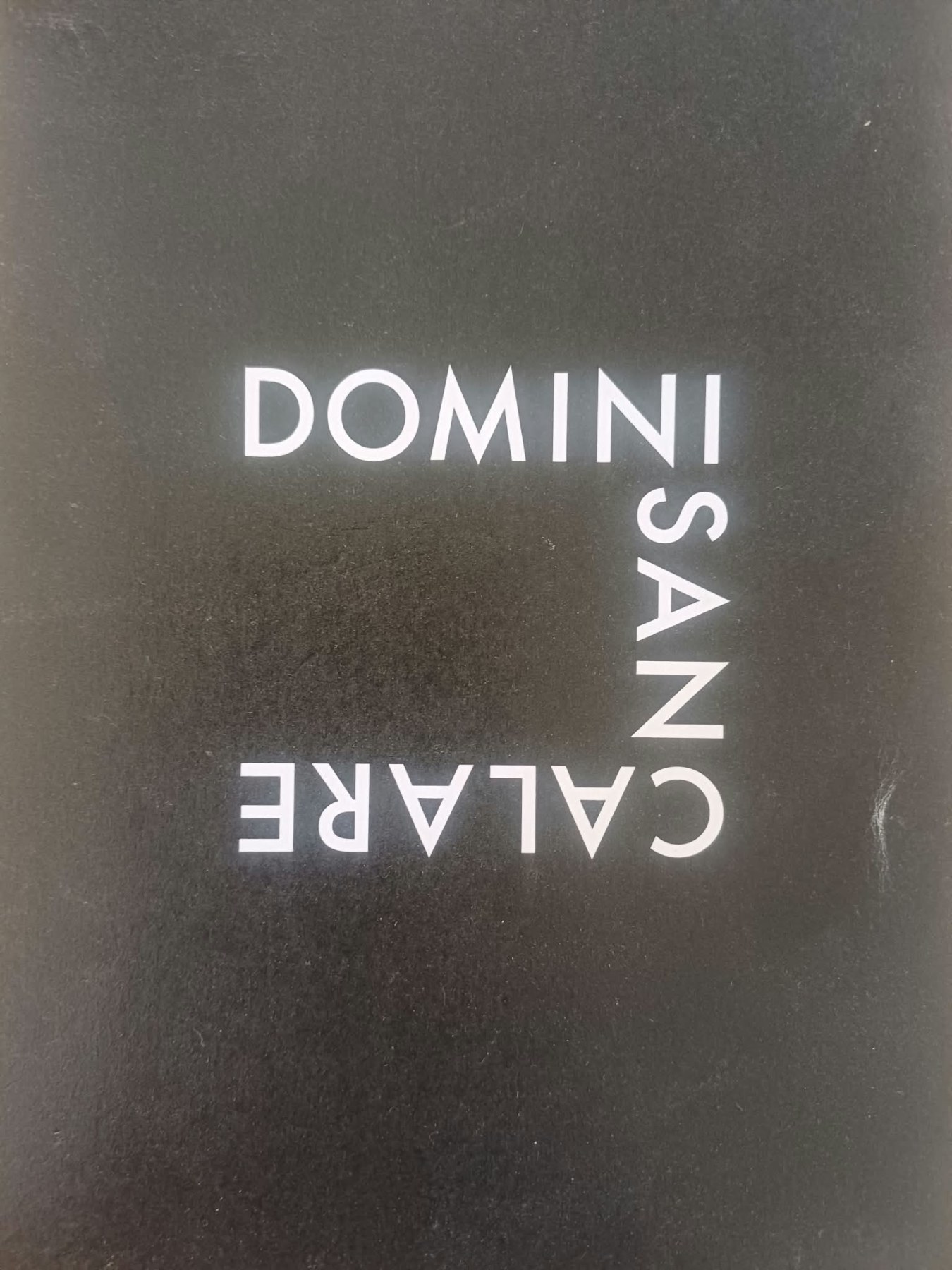 Logo Cantina Domini San Calare